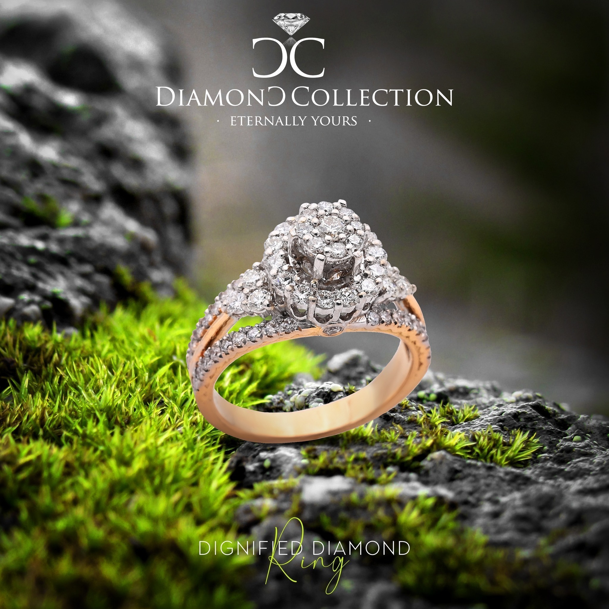 Celestial-Diamond-Ring-1.jpg