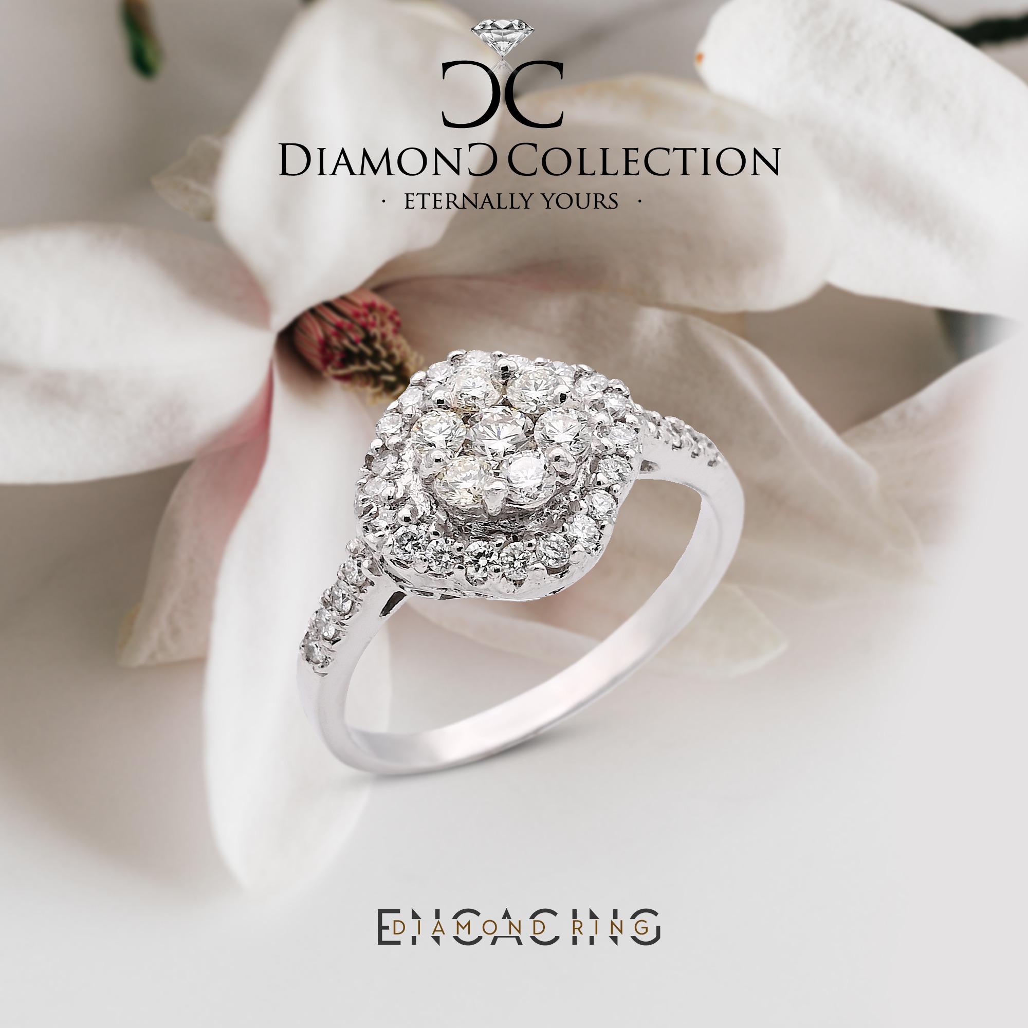 Encacing Diamond Ring