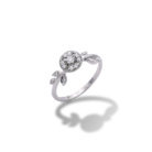 038-Ring-1