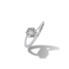 040-Ring-1