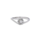 040-Ring-2