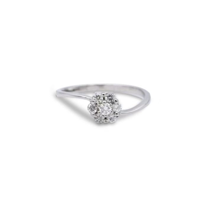 040-Ring-2