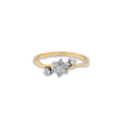 021-Ring-2