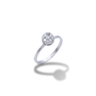 027-Ring-1