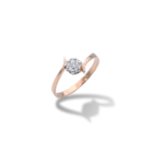 030-Ring-1